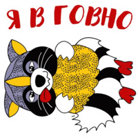 Енот-задрот