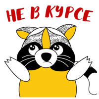 Енот-задрот