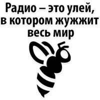 День радио