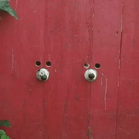 Кайфарики