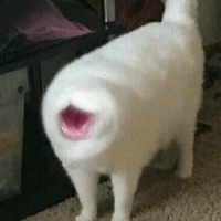 Кайфарики