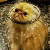 Кайфарики