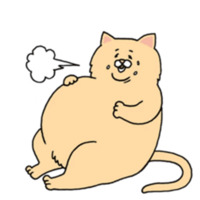 Грустный толстый кот
