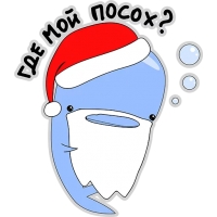 Кит меланхолик