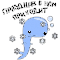 Кит меланхолик