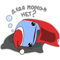 Кит меланхолик