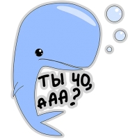 Кит меланхолик