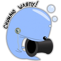 Кит меланхолик
