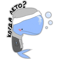 Кит меланхолик