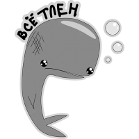 Кит меланхолик