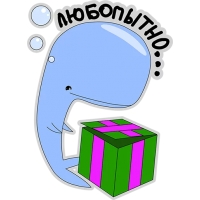 Кит меланхолик