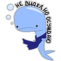 Кит меланхолик