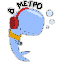 Кит меланхолик