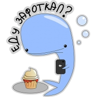 Кит меланхолик