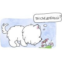 Самоедик Ачи