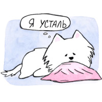 Самоедик Ачи