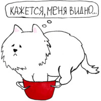 Самоедик Ачи