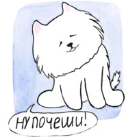 Самоедик Ачи