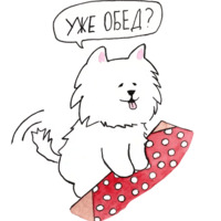 Самоедик Ачи