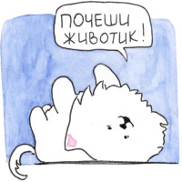 Самоедик Ачи