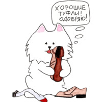 Самоедик Ачи