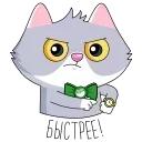 Сберкот и Куся :: @stickroom