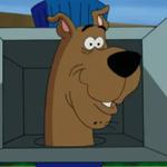 Scooby-Doo!