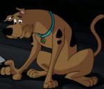 Scooby-Doo!