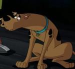 Scooby-Doo!