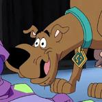 Scooby-Doo!