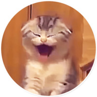 Плохие котики