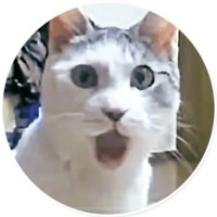 Плохие котики