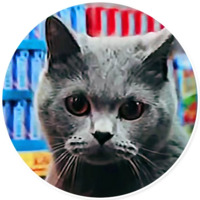 Плохие котики