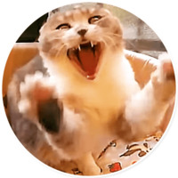 Плохие котики