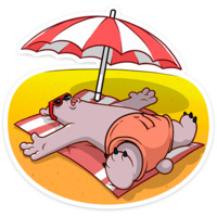 Отпуск Севы