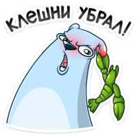 Отпуск Севы