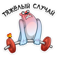 Отпуск Севы