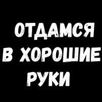 Сексуальные Фразы 3