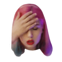 Shelnyancat