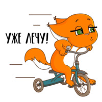 Летняя Крошка Ши
