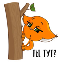 Летняя Крошка Ши