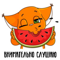 Летняя Крошка Ши