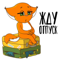 Летняя Крошка Ши