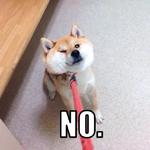 shiba inu stickerpack