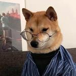 shiba inu stickerpack