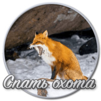 Сибирский Валенок