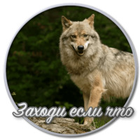 Сибирский Валенок