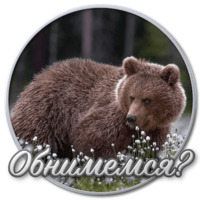 Сибирский Валенок