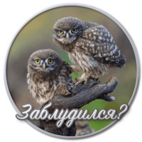 Сибирский Валенок