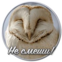 Сибирский Валенок
